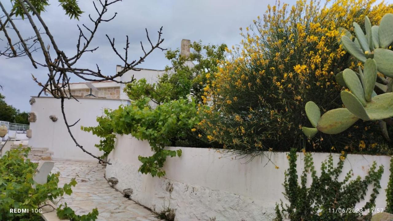 Le Terrazze Della Crianza Διαμέρισμα Ostuni Εξωτερικό φωτογραφία